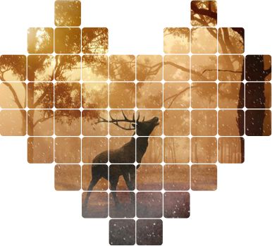 微信圖片_20190412174238.jpg 微信圖片_20190412174238.jpg